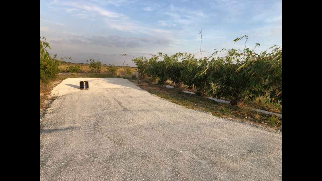 Joy Bamboo Forest Farm