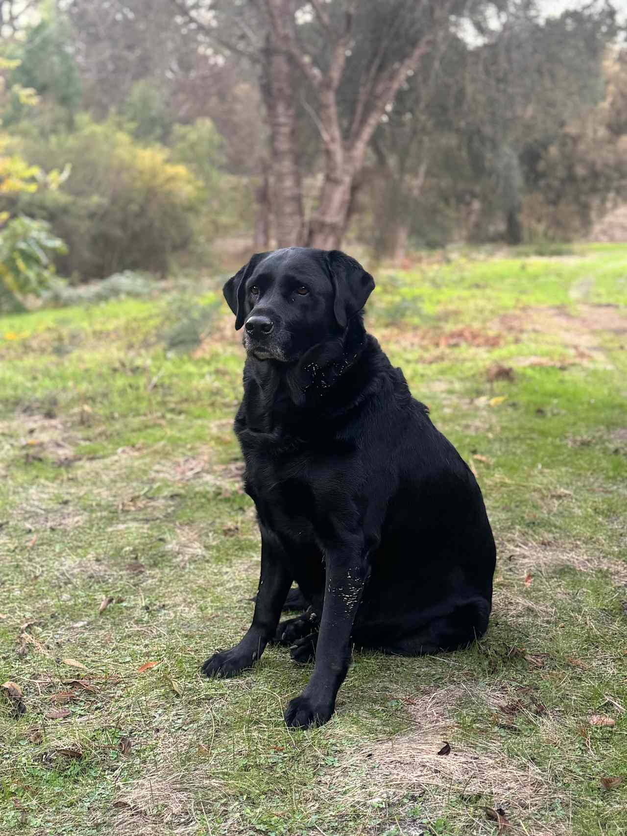 Happy Betty
