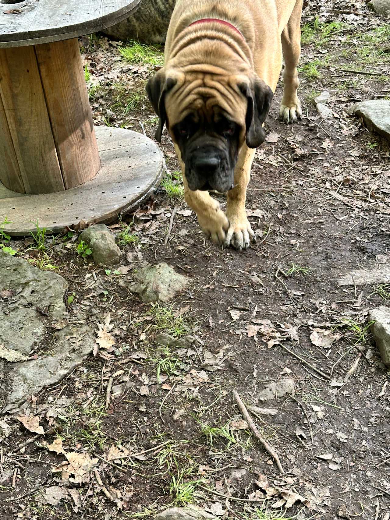 Oliver had a blast! 