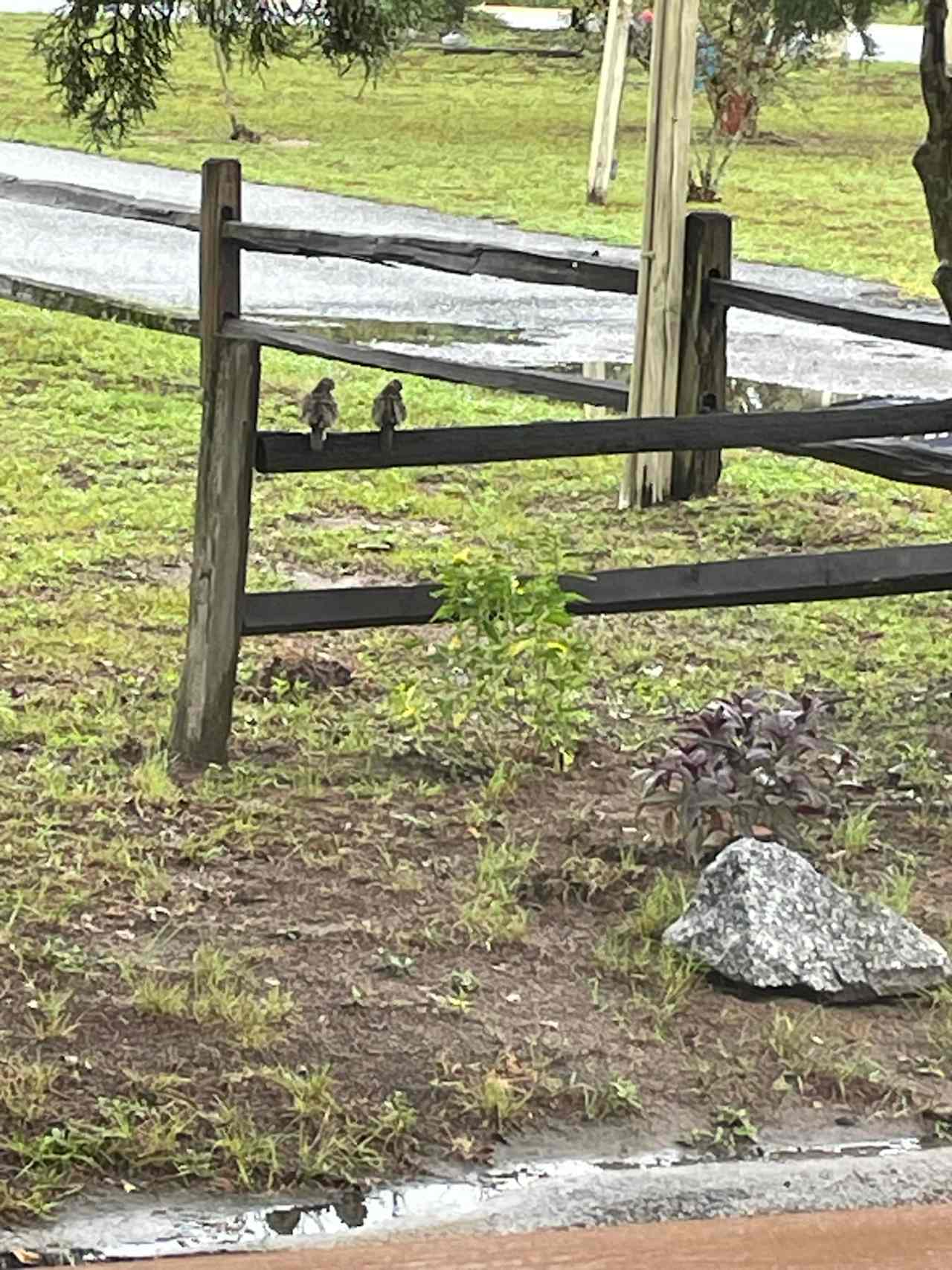 Quiet and Serene Dove Rest RV Park
