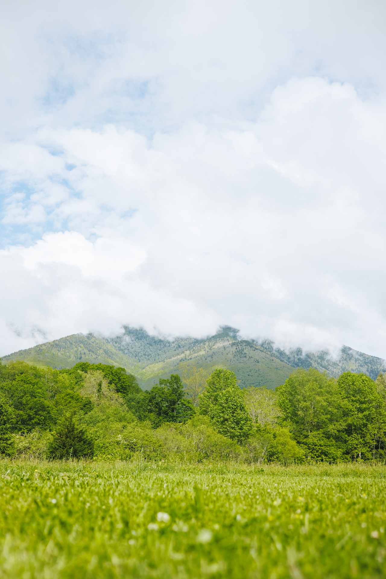 The view from your site. 