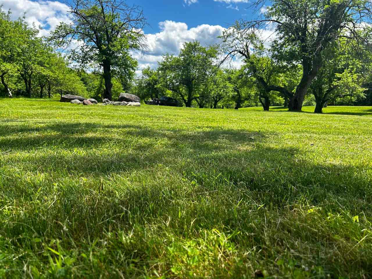 Sunset Hill Orchard