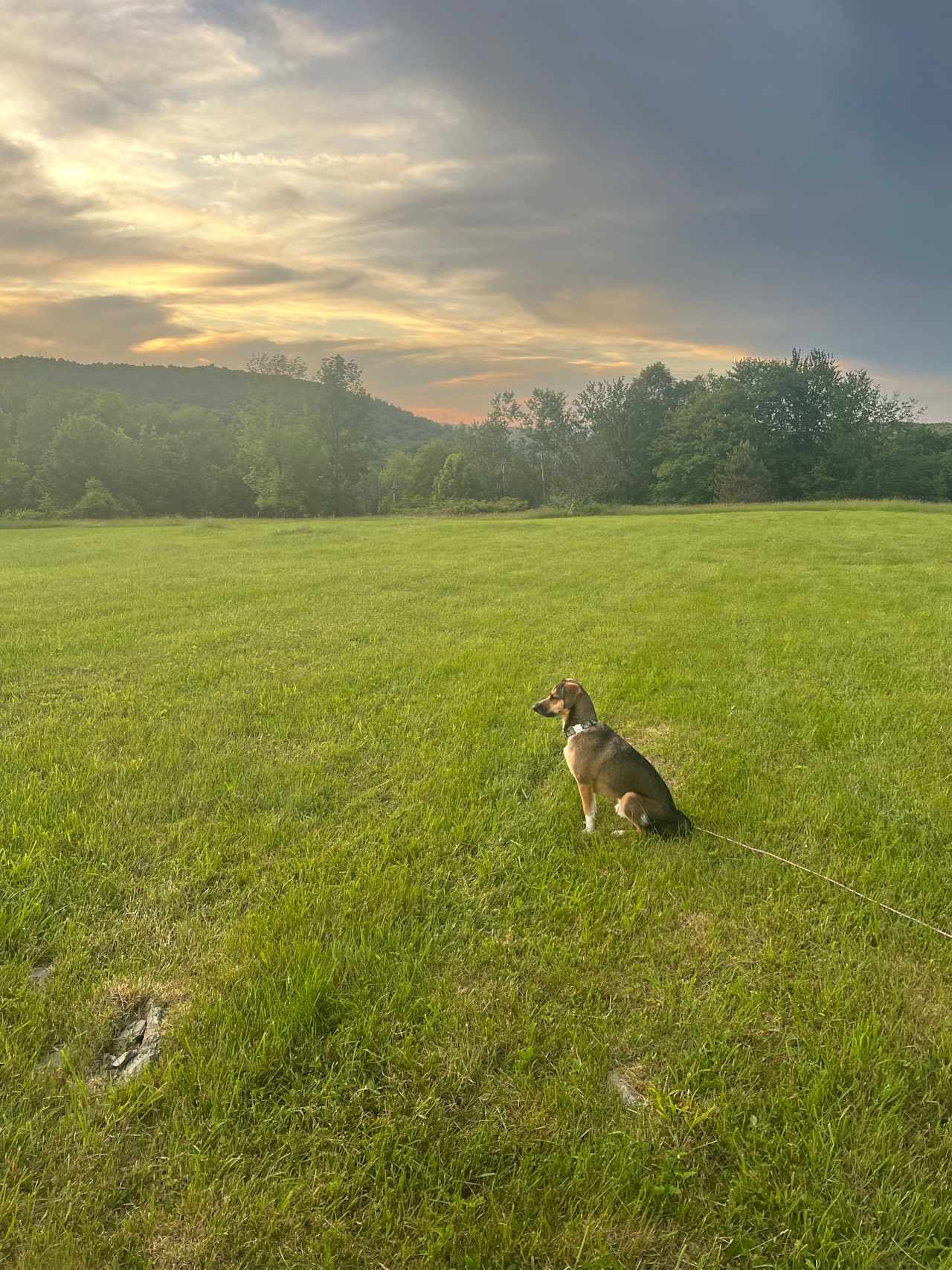 Snowapple Farm Campsite