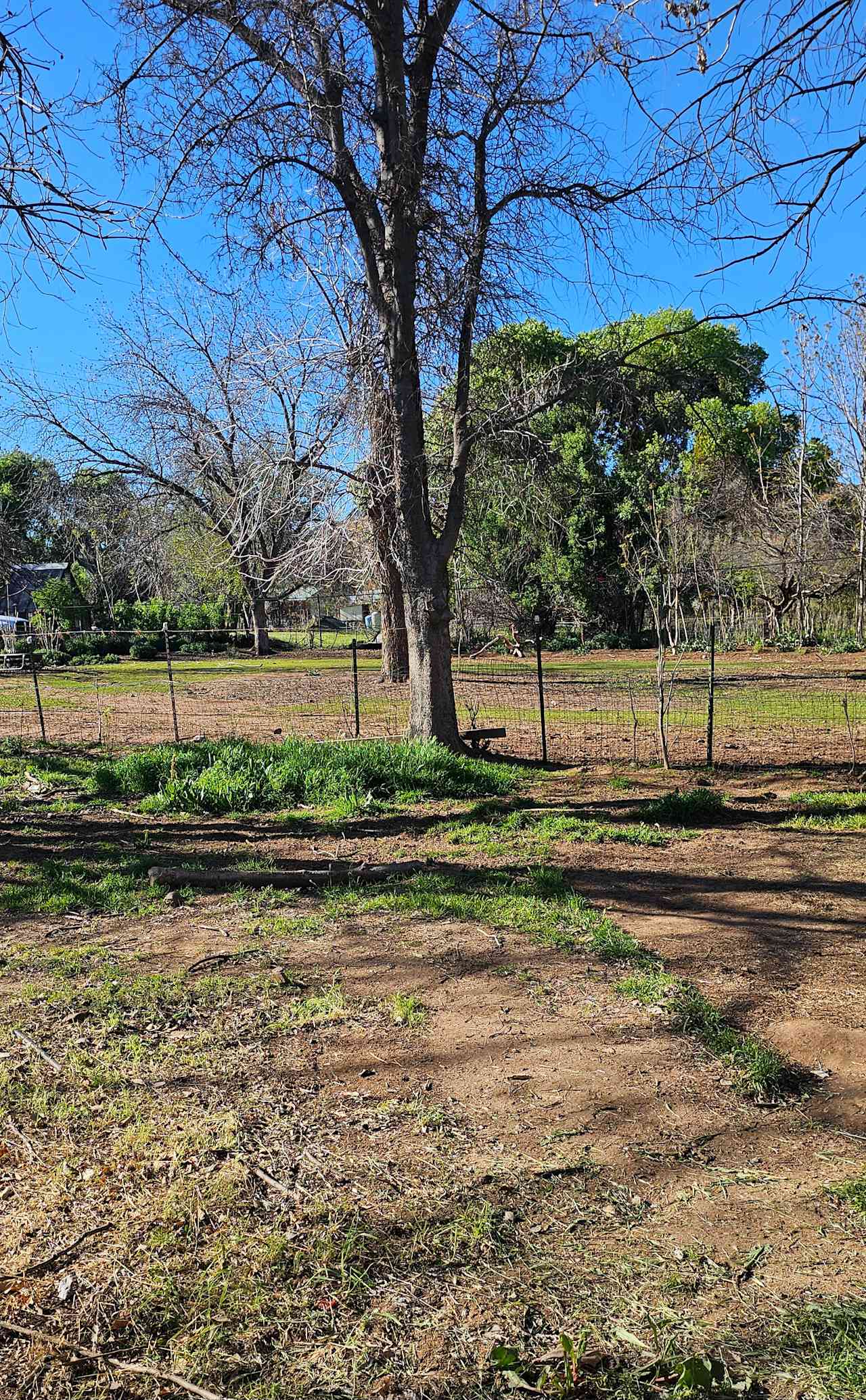 Tent Camp at Tuck & Bird Ranch