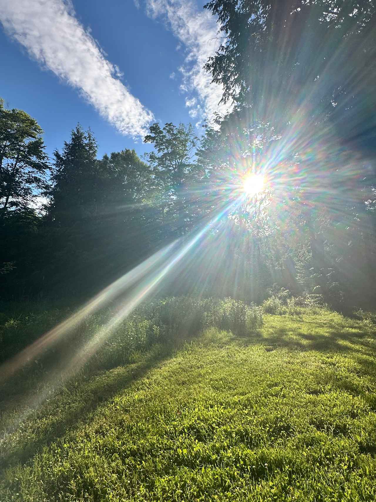 There are numerous cleared spaces directly off the walking path for you to choose from. Please be mindful of our strict carry-in, carry-out policy.