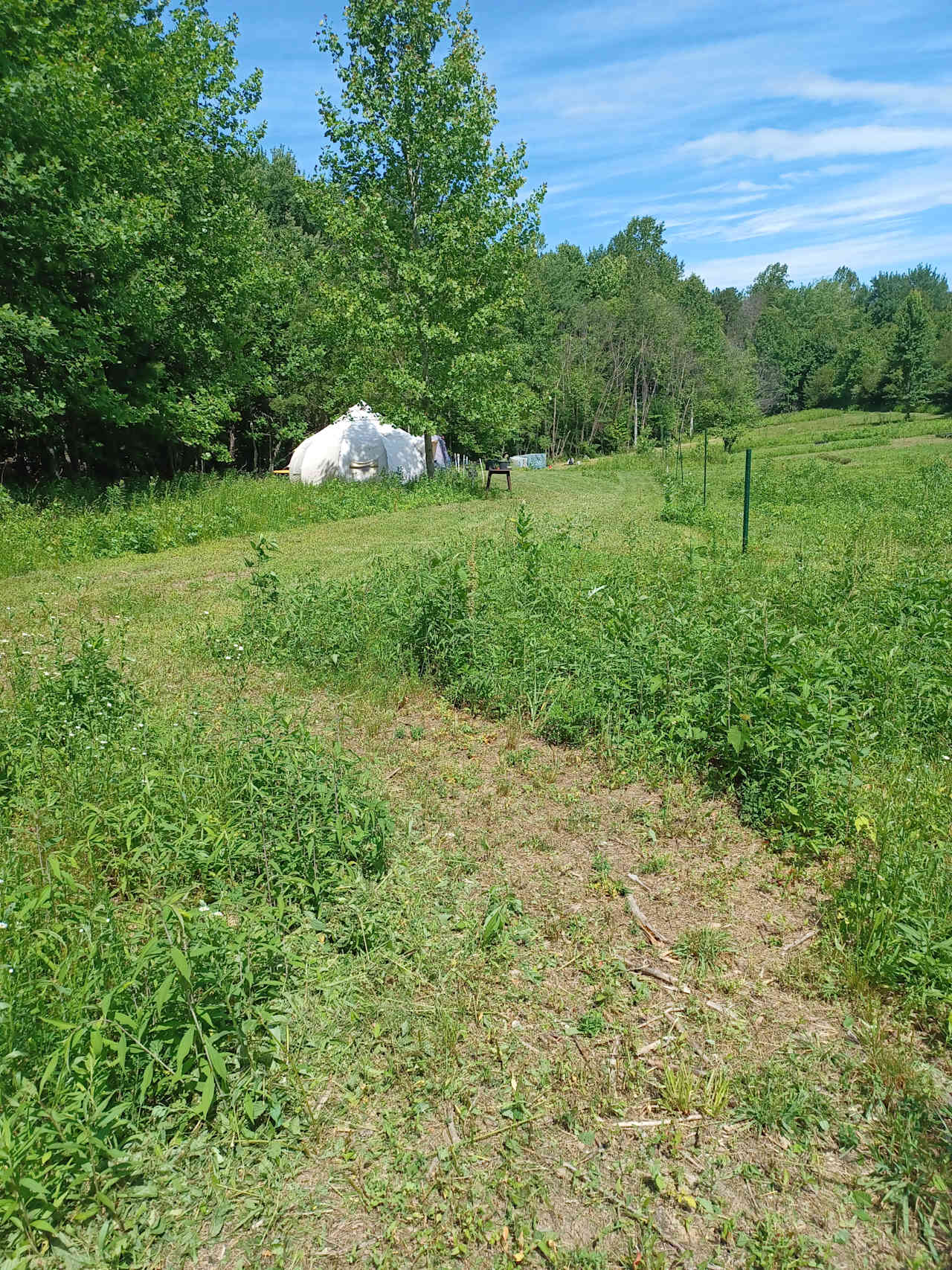 Serena Sankofa FoRest Farm Glamping