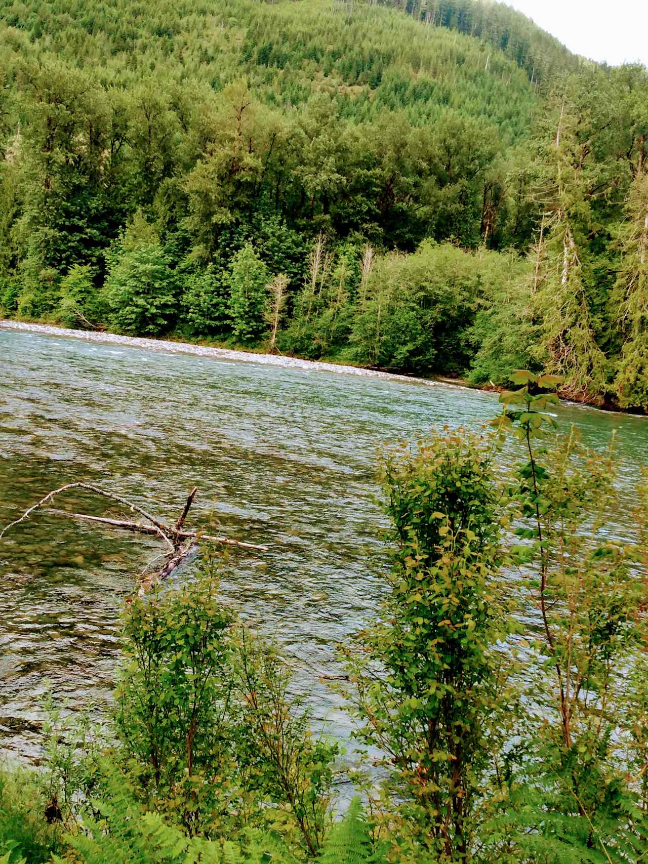 Buster's on the Sauk River