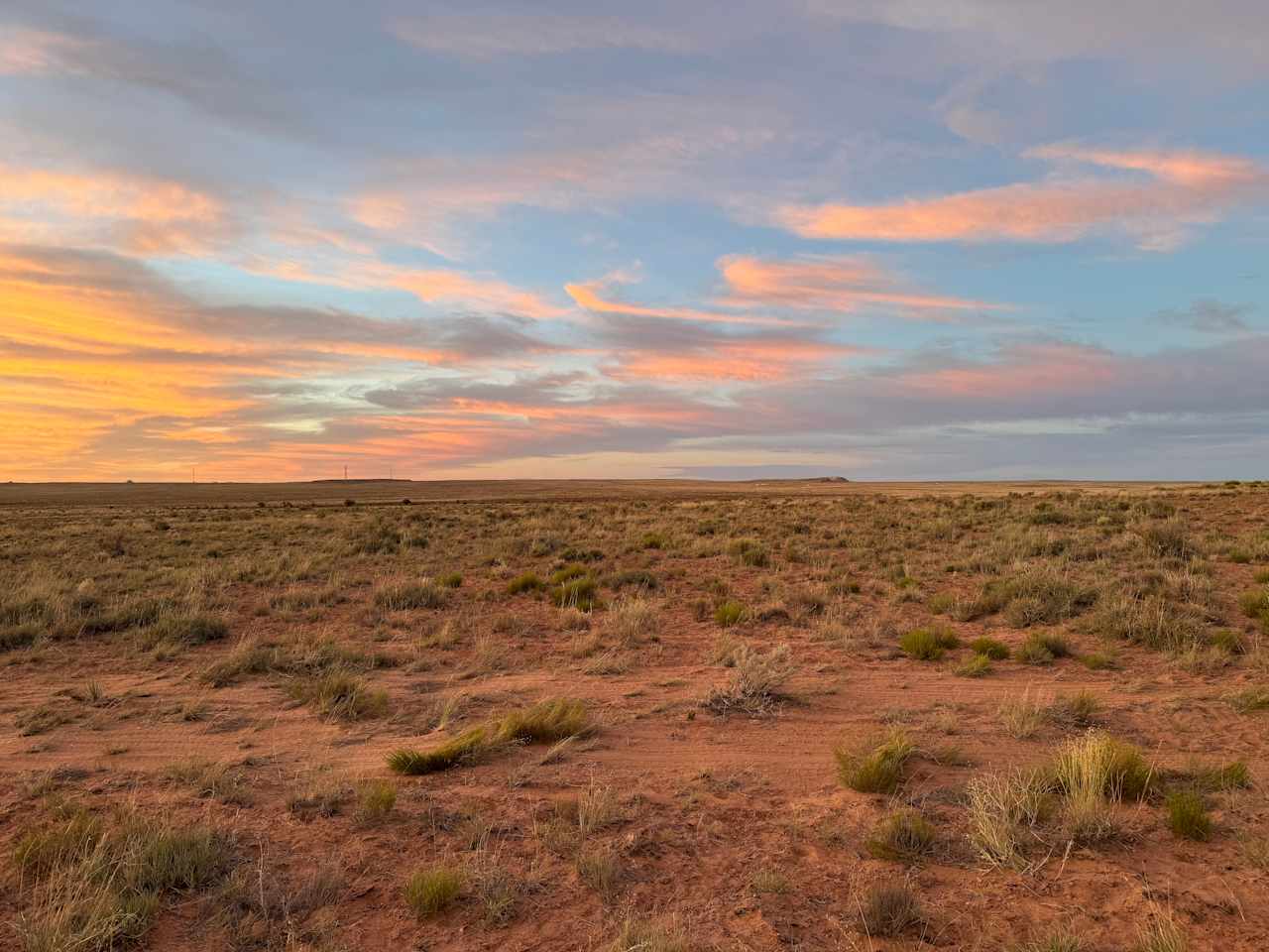 Tickled Pink Flamingos Campground
