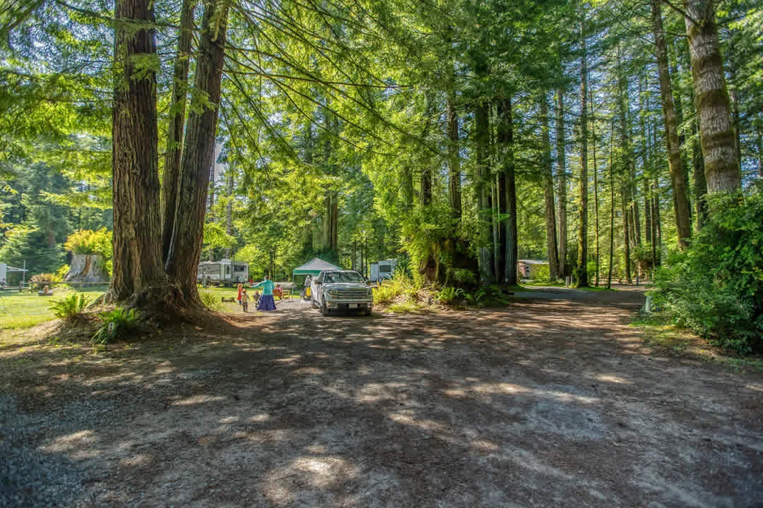 Ramblin' Redwoods Campground 