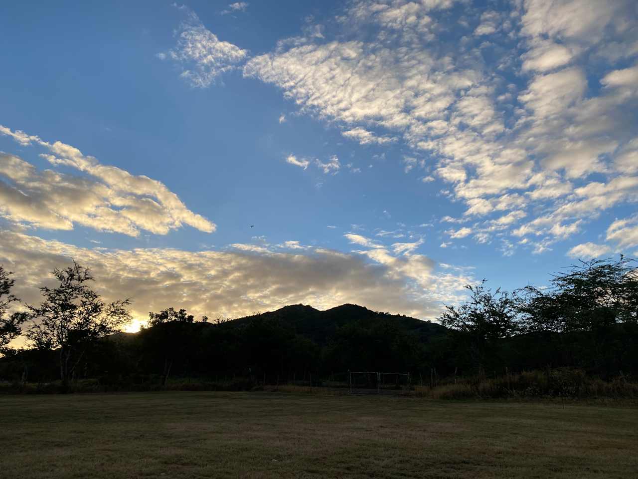 Inriri Farm Cabo Rojo PR