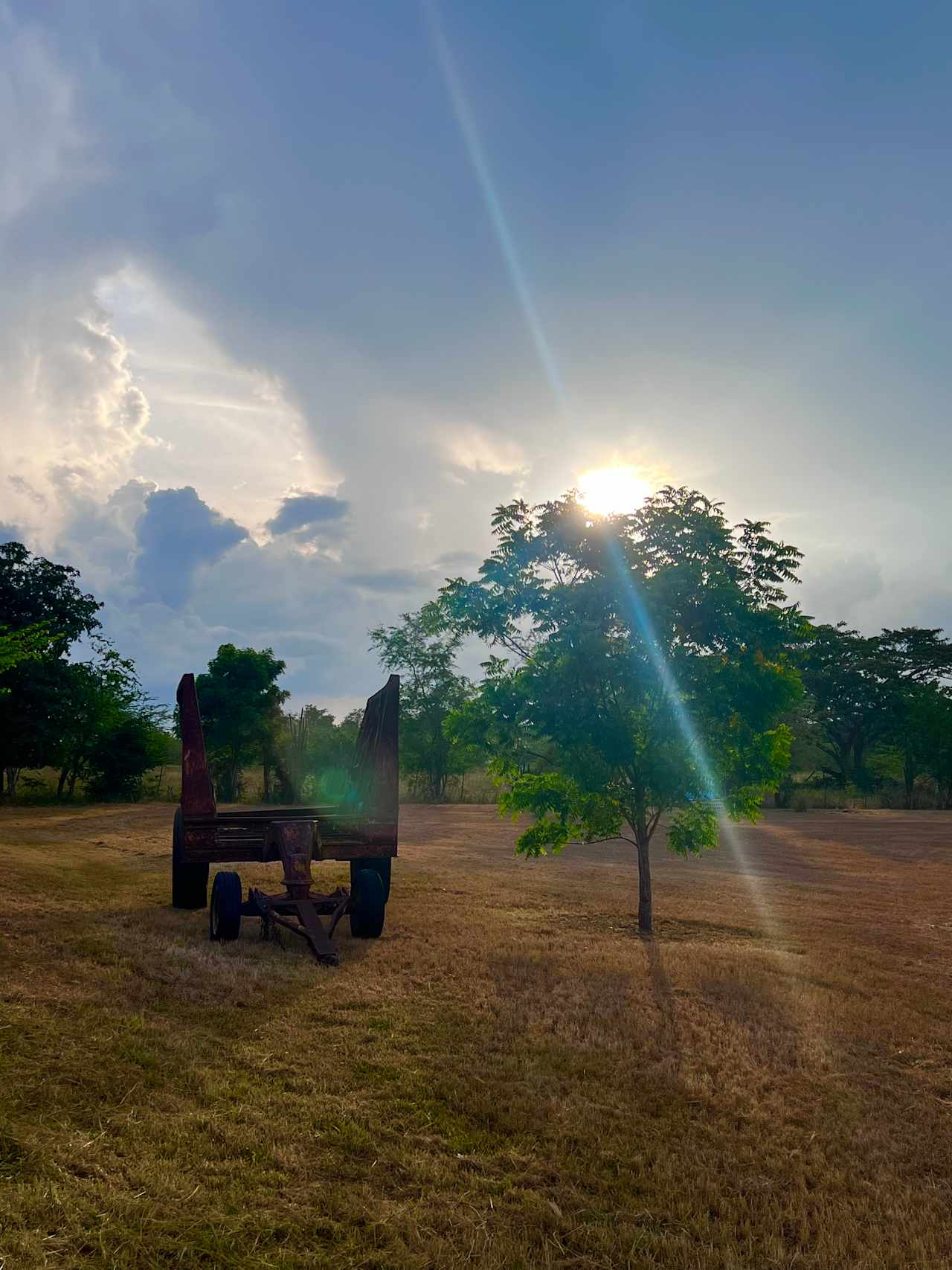 Inriri Farm Cabo Rojo PR