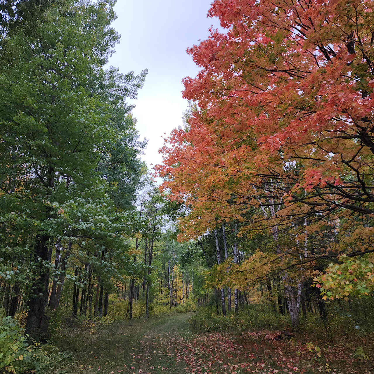 The fall leaves are spectacular and make for great photo opportunities! 
