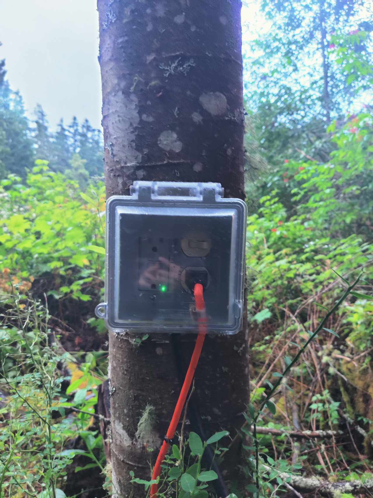 Power at the camp site, with a flip of a switch you can turn on the string lights hung in the trees!