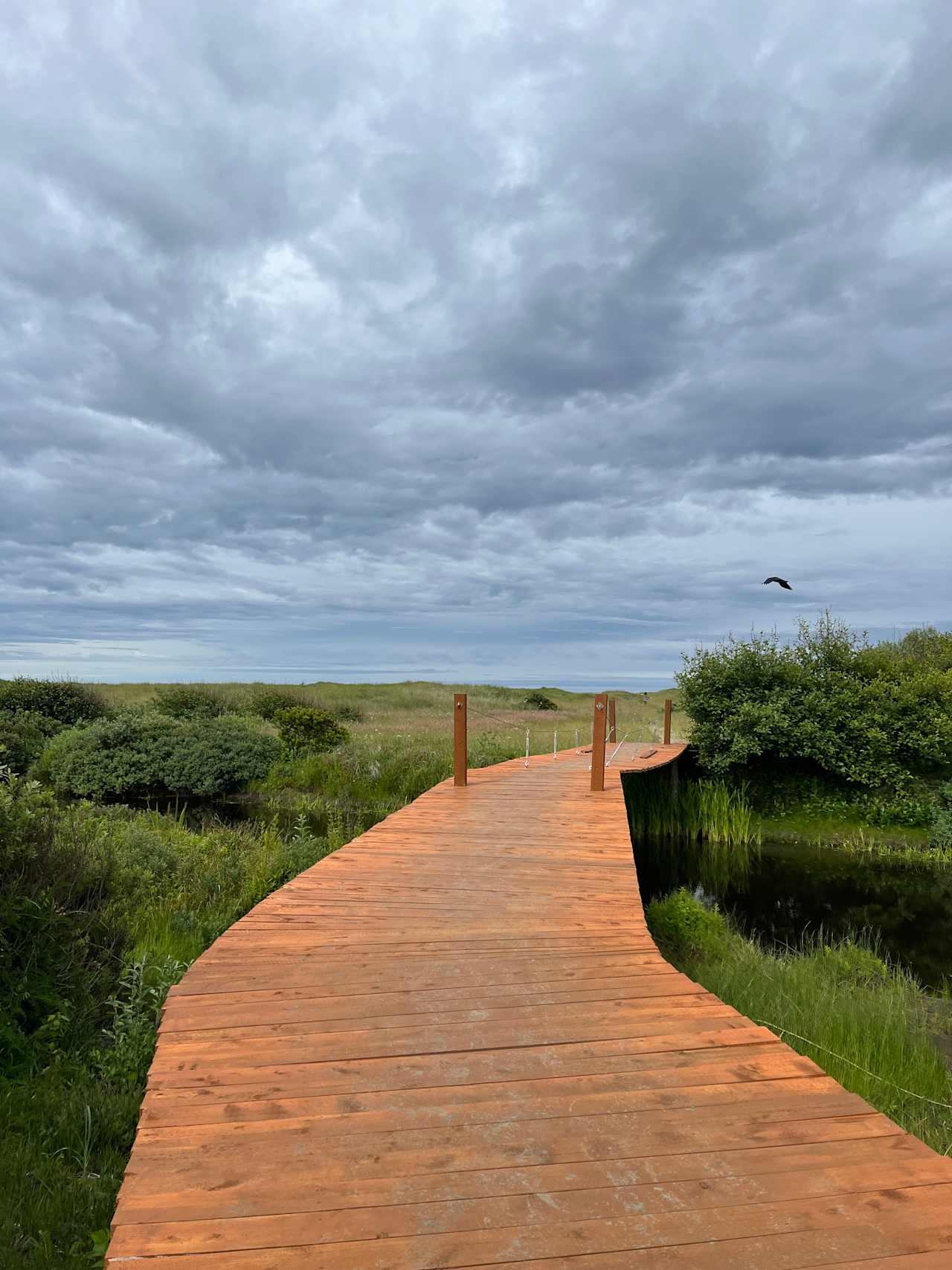 Pacific Dunes Resort
