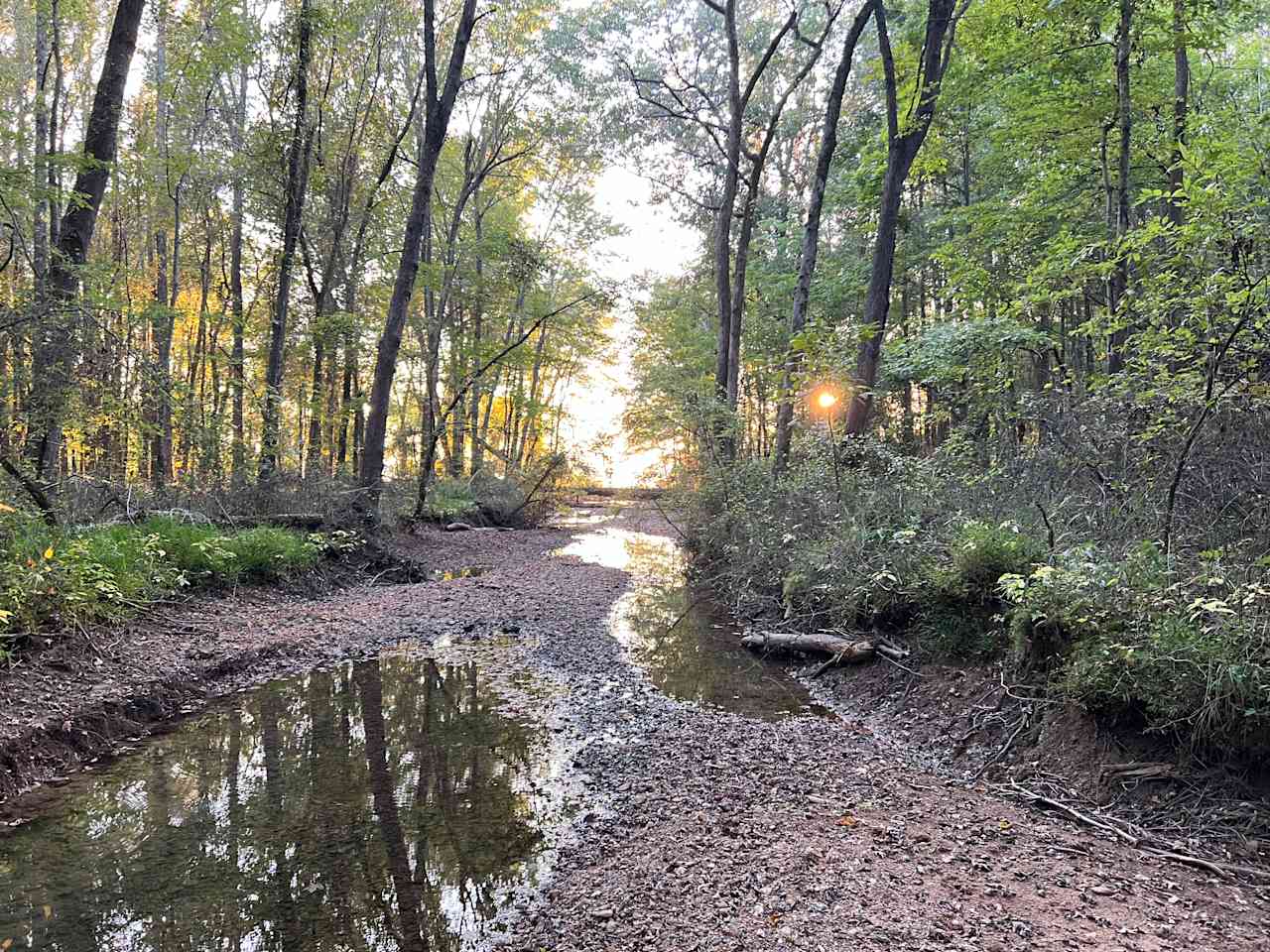Quiet Lake Lake Barkley Access Camp