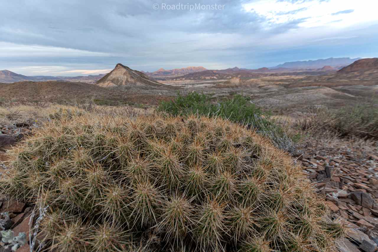 Terlingua Mountain Wildlife Camp