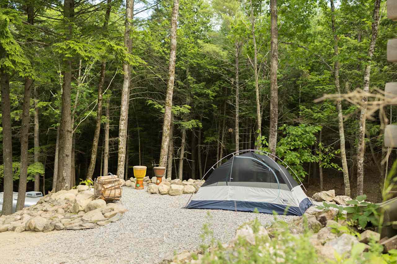 Site 1 sits at the top of the hill next to the sauna. 