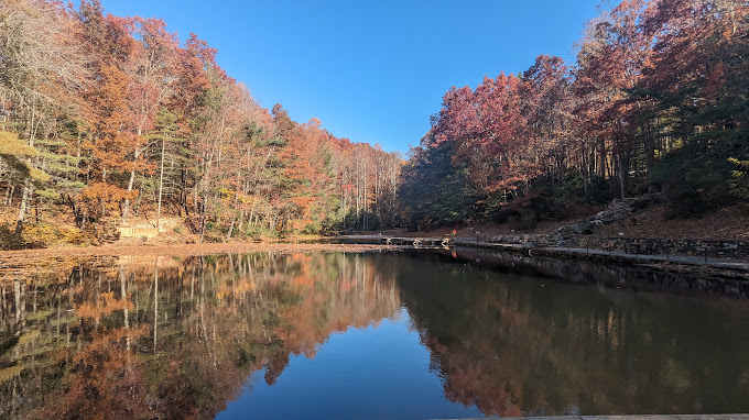 Spacious Skies Bear Den - RV/Tent Sites