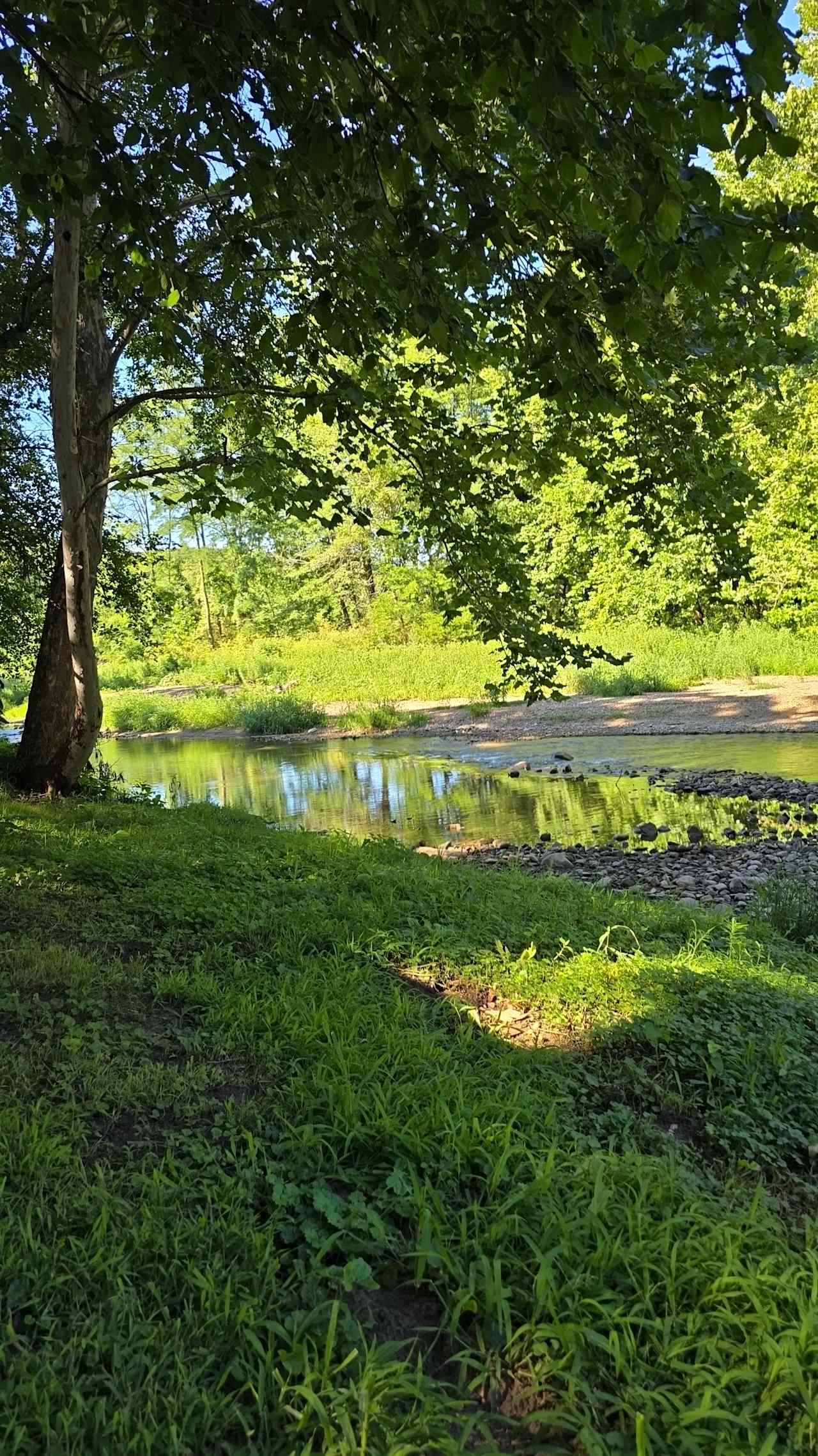 Foreaker Farm/Creek Side Valley