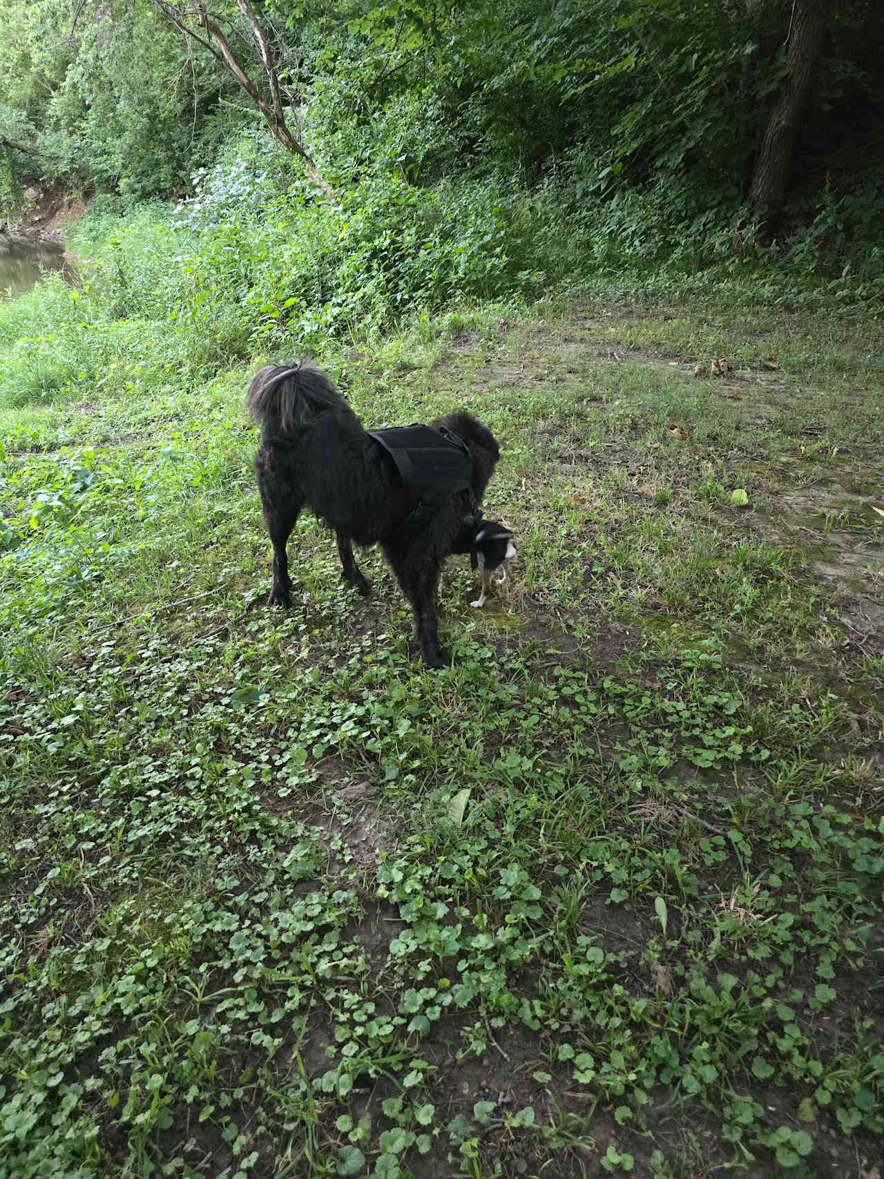 Foreaker Farm/Creek Side Valley