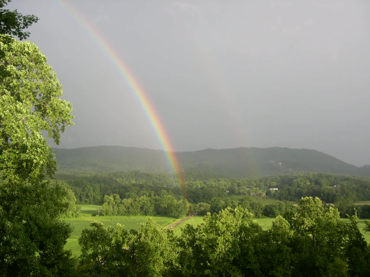 Yadkin Mountain Farm