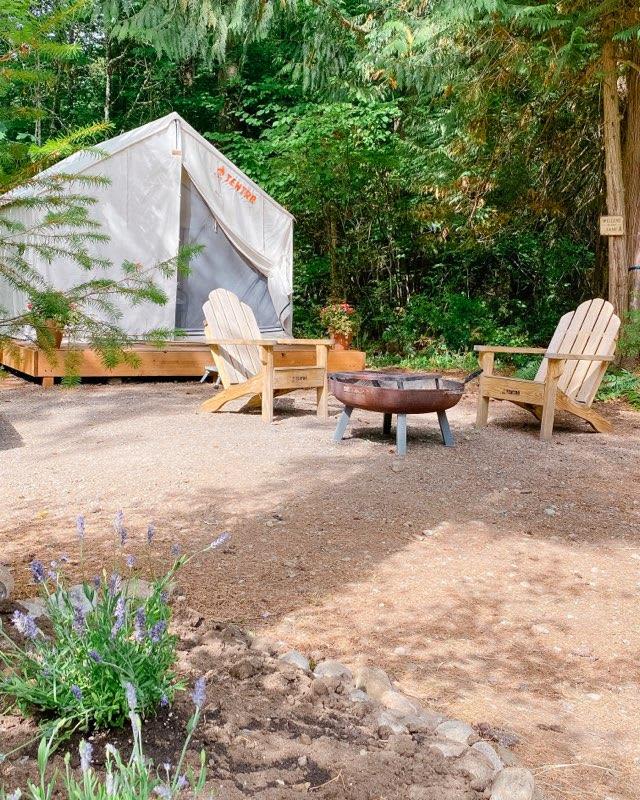 Serene wooded site.