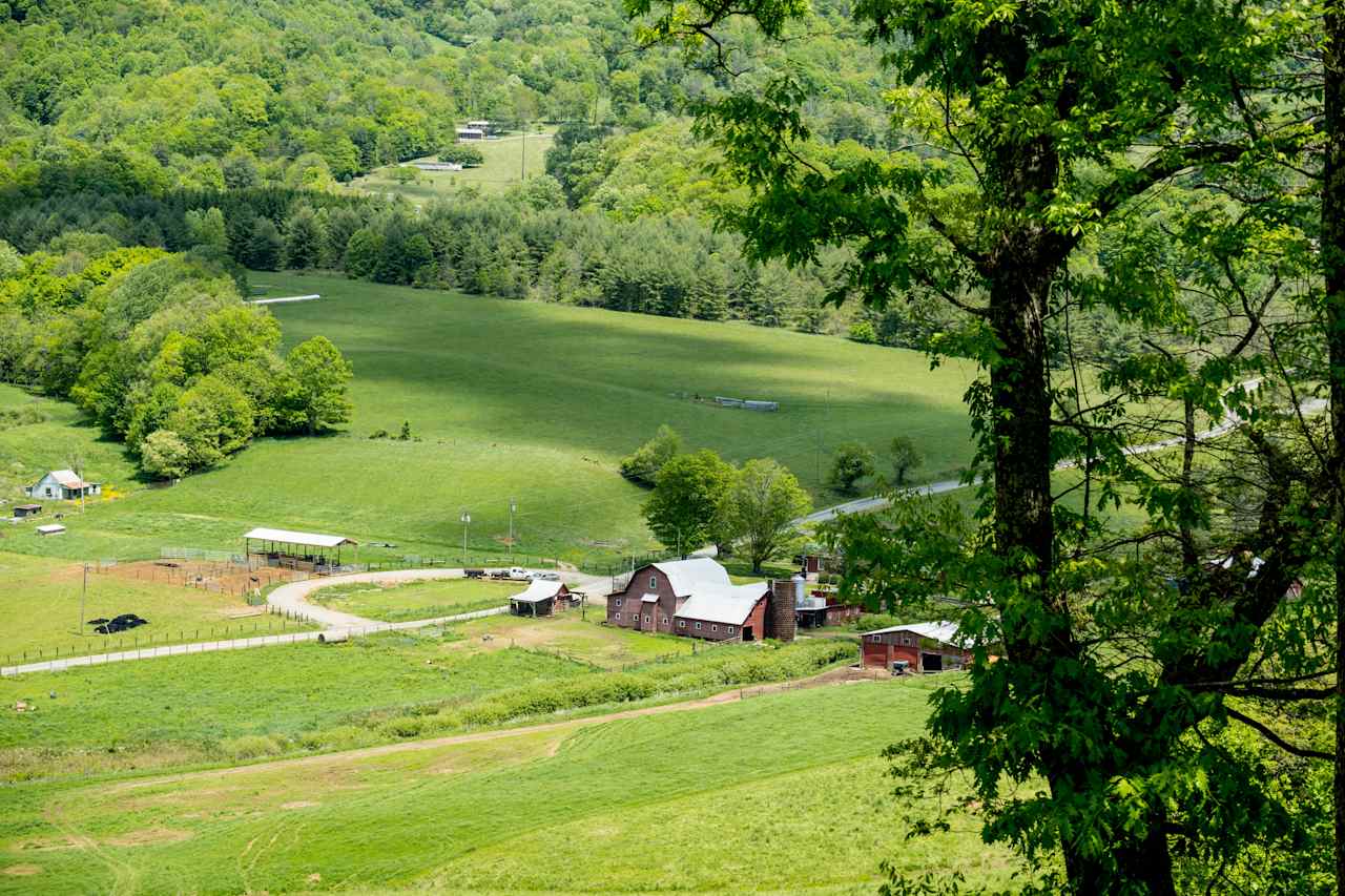 Campsites at Shipley Farms