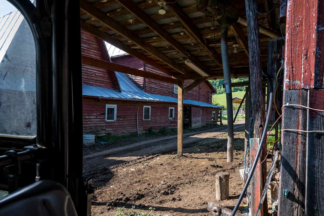 Campsites at Shipley Farms