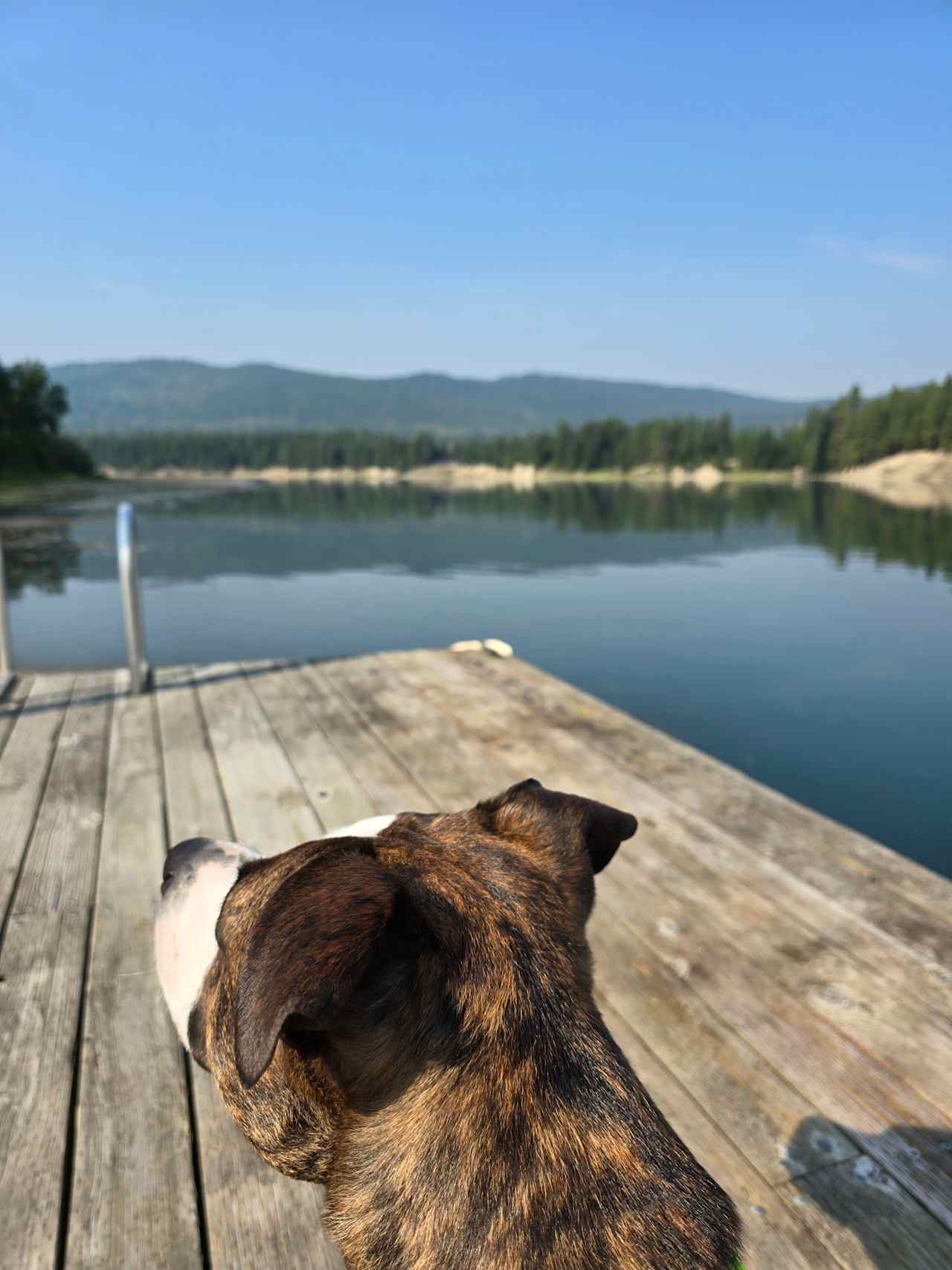 Riverfront Solitude