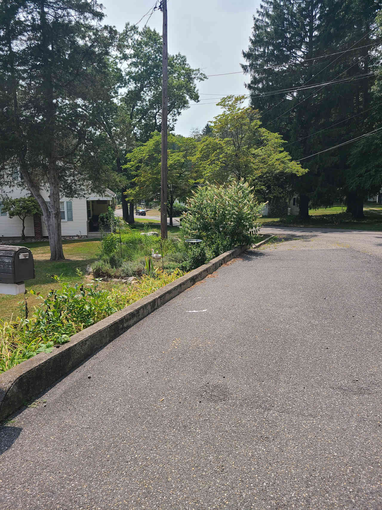Bangor Bungalow