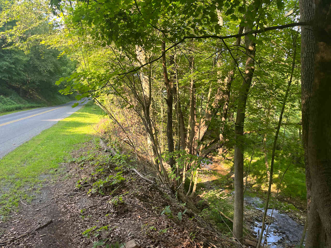 Lehigh Hideaway Hollow