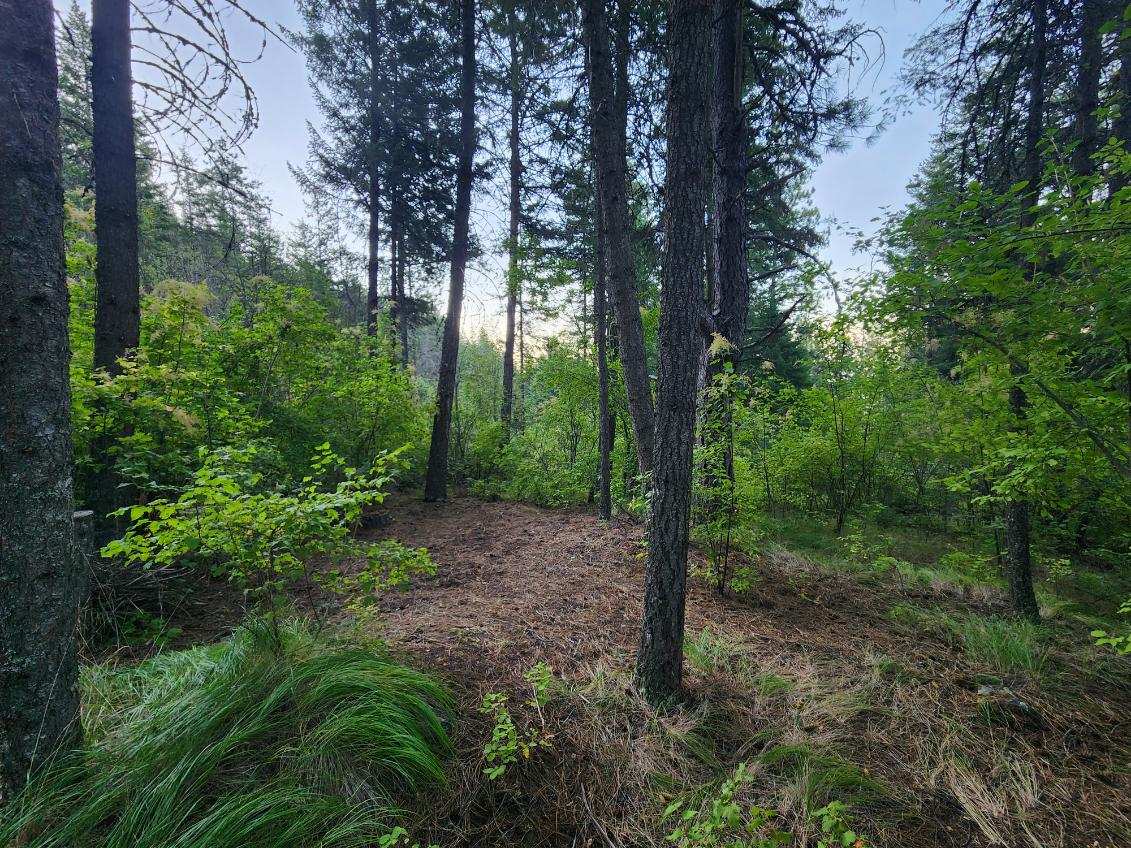 Spirit Gorge Tent Camping