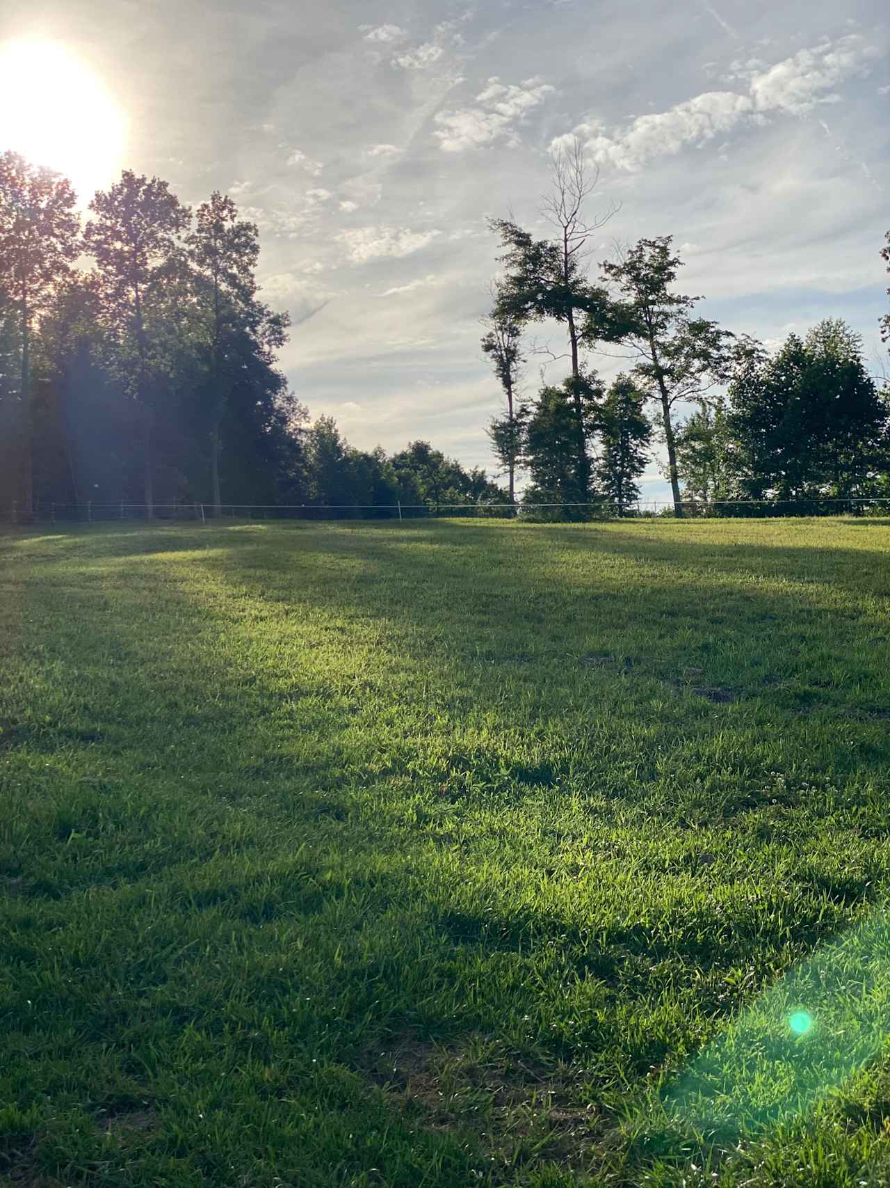Pine horse farm