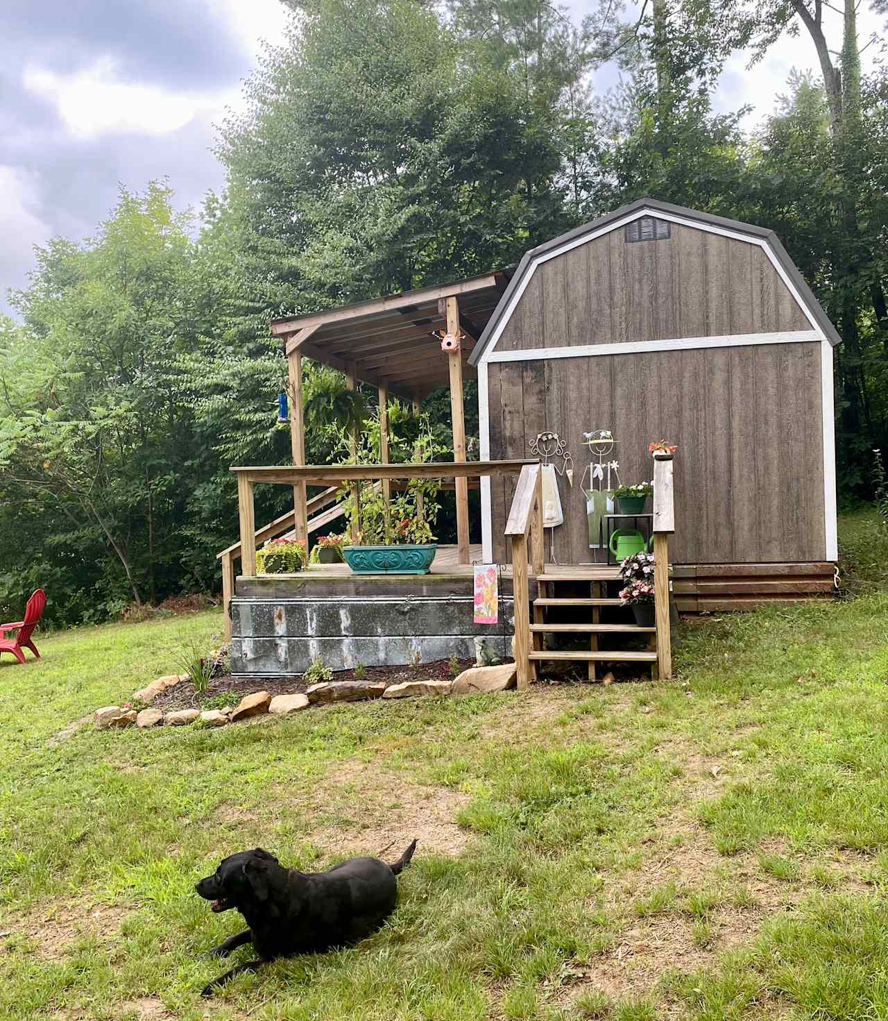 Black Dog Farm