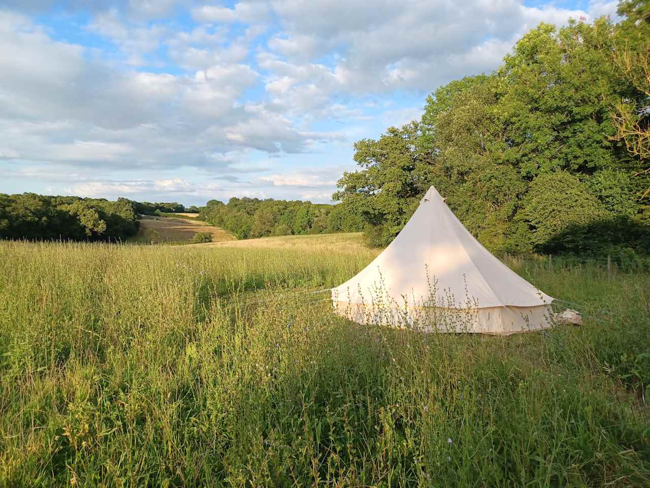 Secluded Woodland Camp