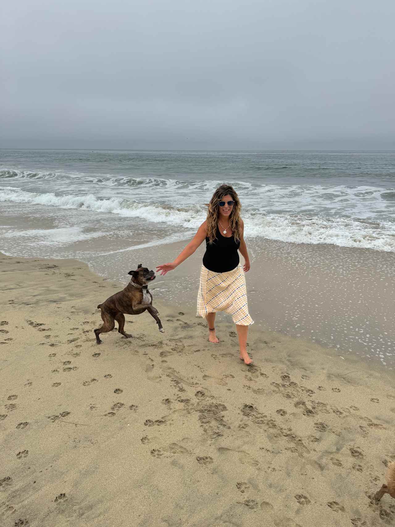 San Juan Bautista Dog Friendly