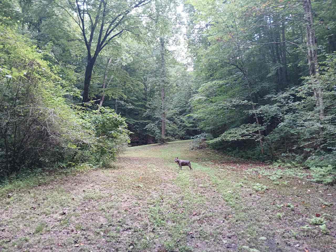 Sly Branch Creek Park and Trail
