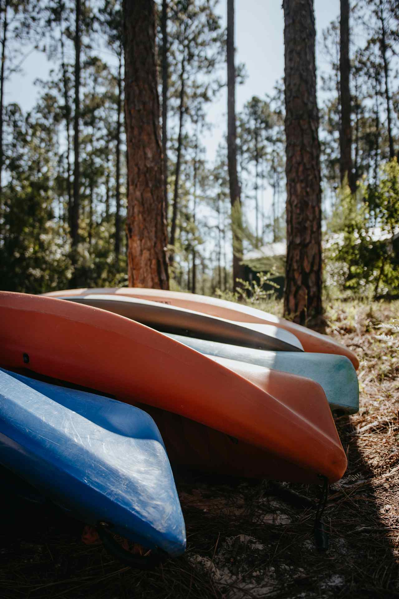 Kayaks are available for rent!