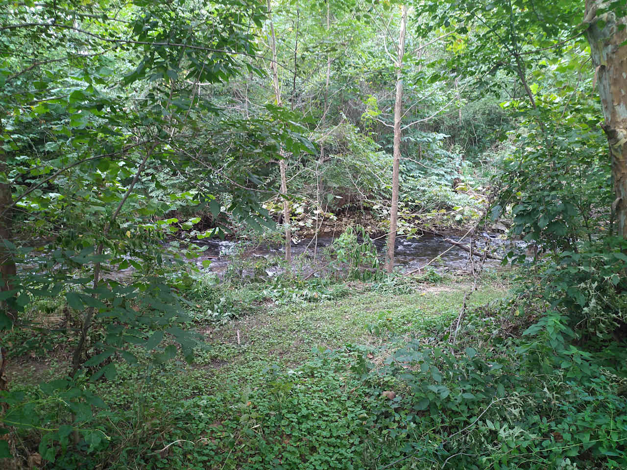 Stoney Creek Campground
