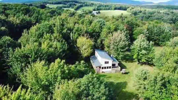 Birch Tree Lodge | Catskills