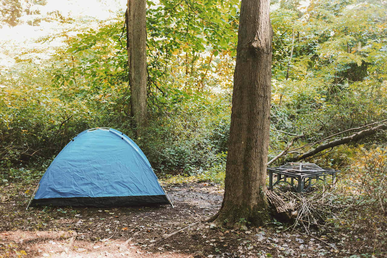 Campsite 2
