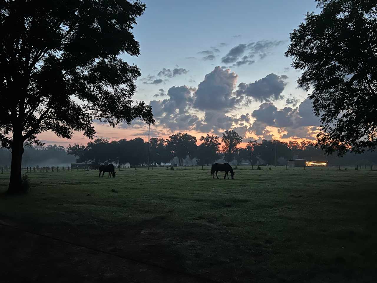 Shire Hill Grove, Yemassee, SC