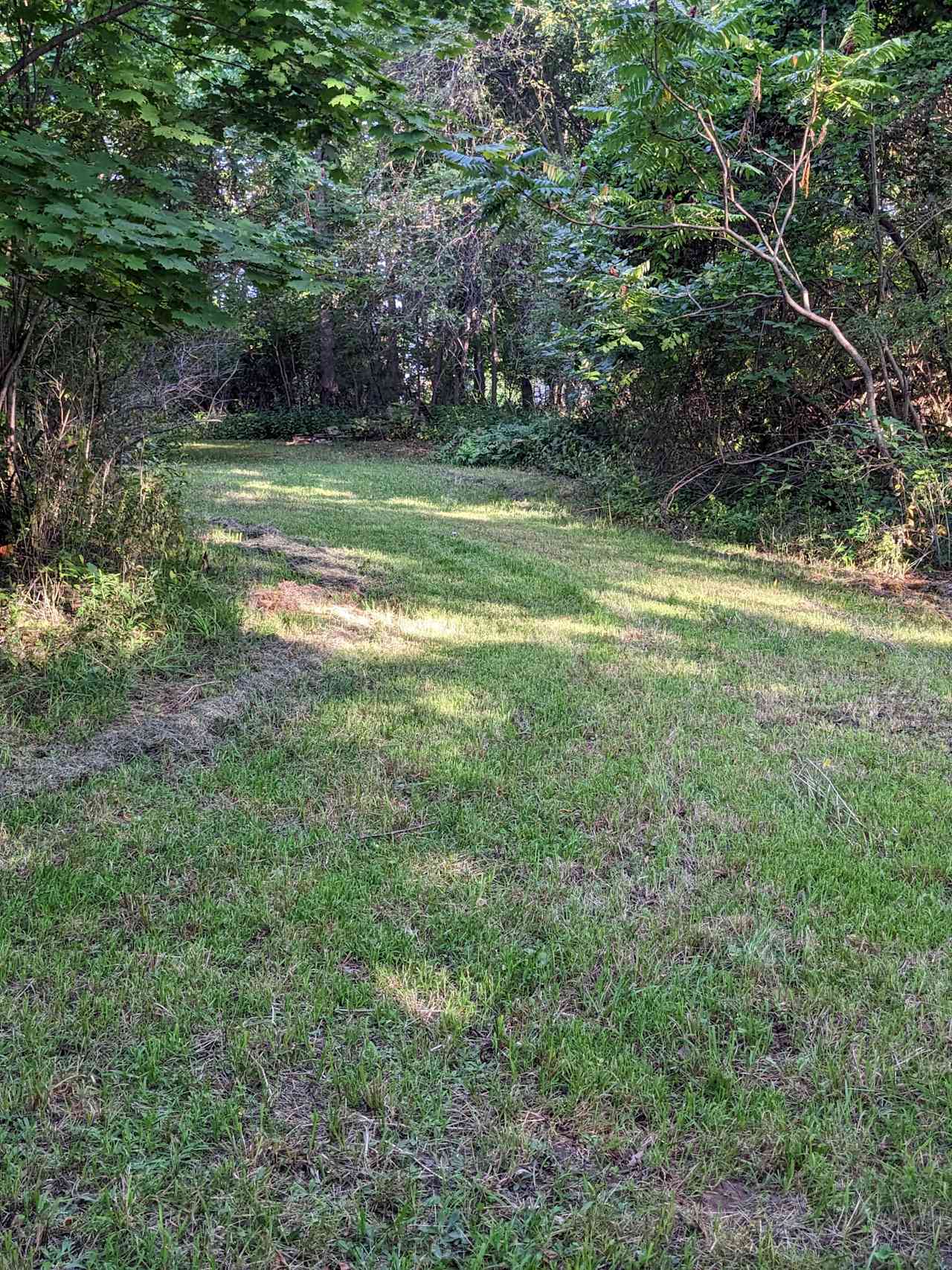 Short "trail" with some decent clearings-entrance is near corner of cow paddock