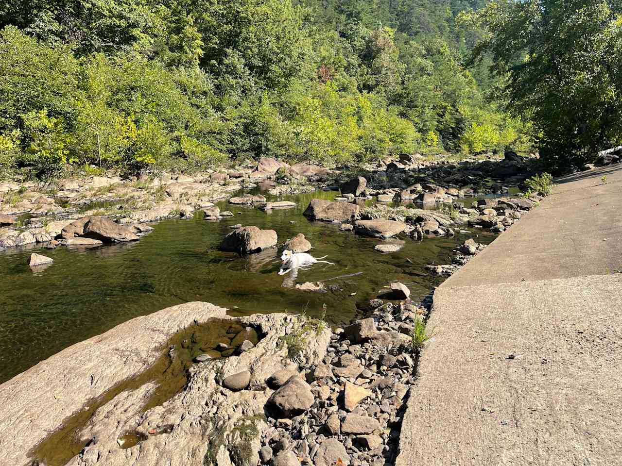 Smith Mountain Camping