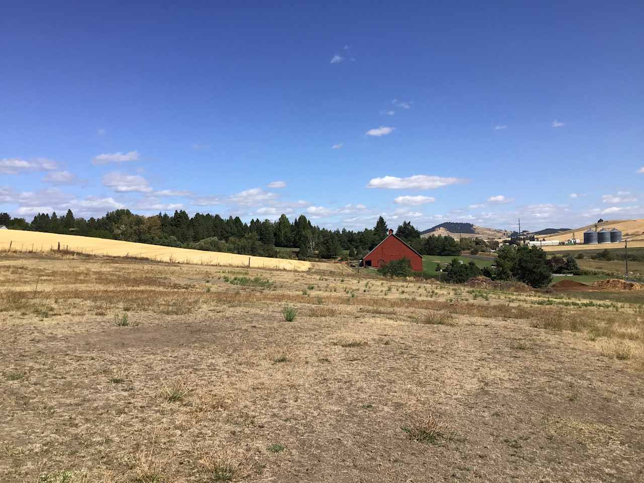 Triple Tree Ranch