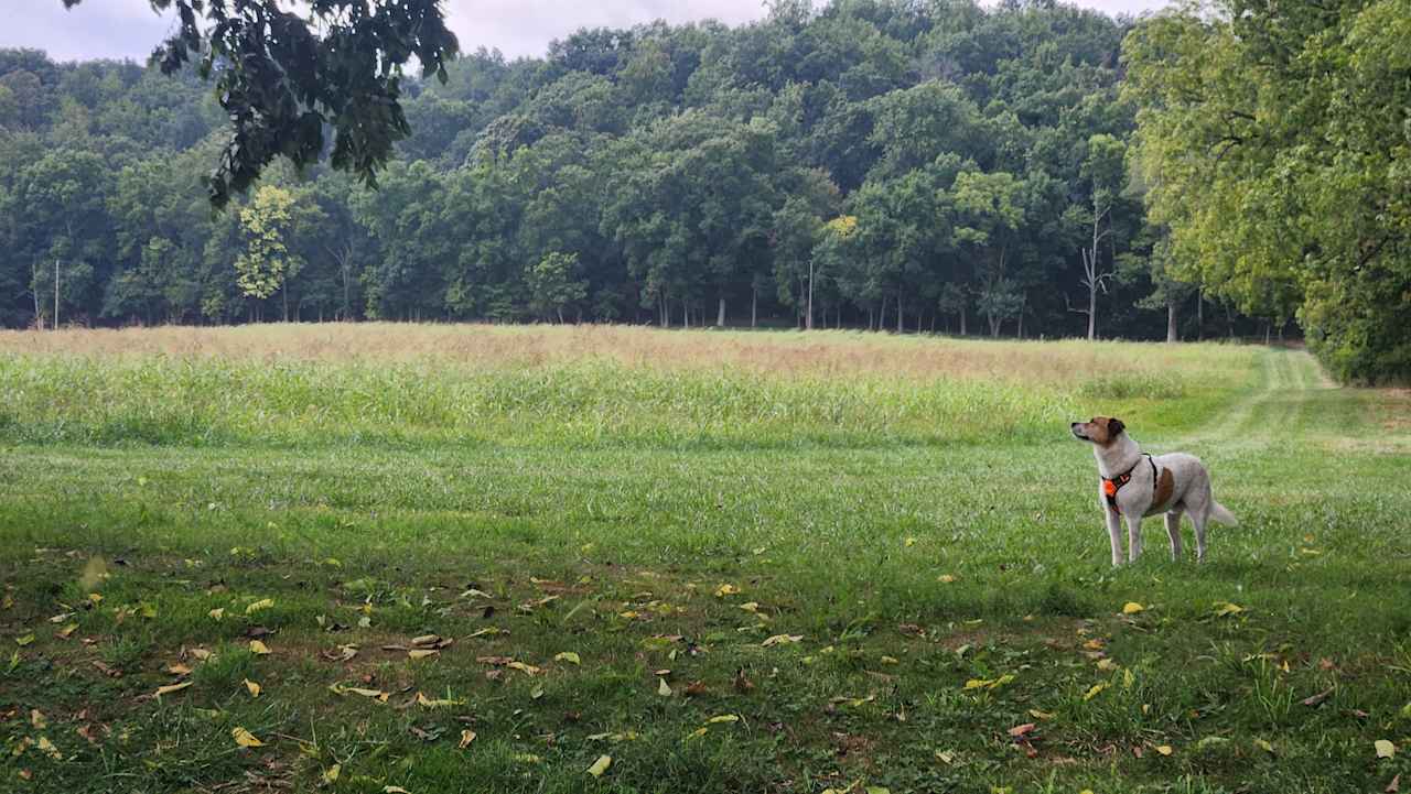 River Farm