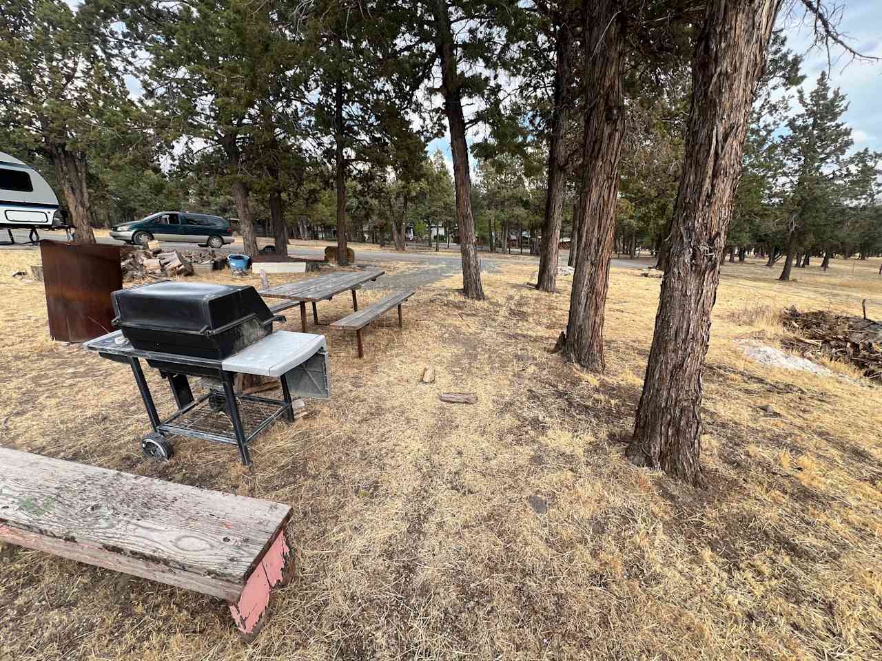 Camp Calamity