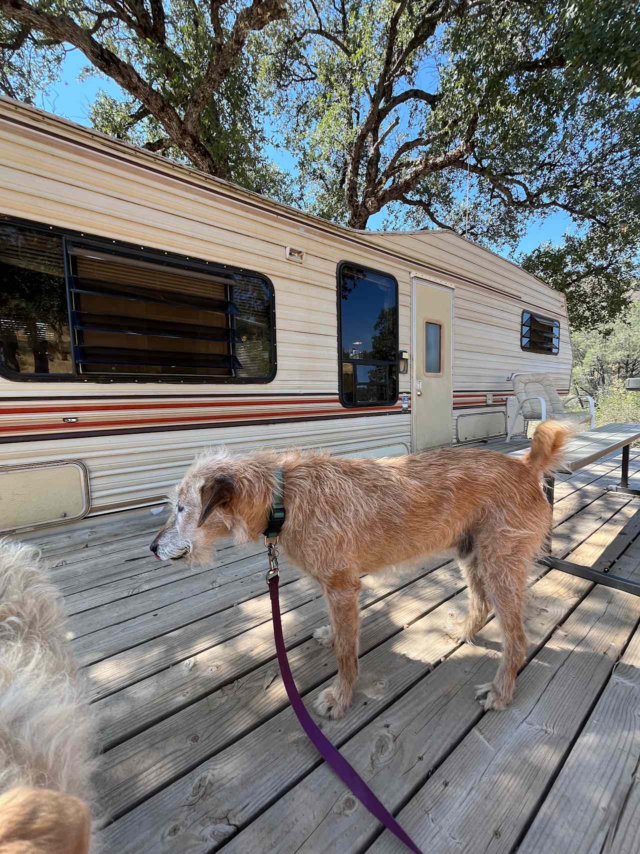 Canyon Crest Campground and RV