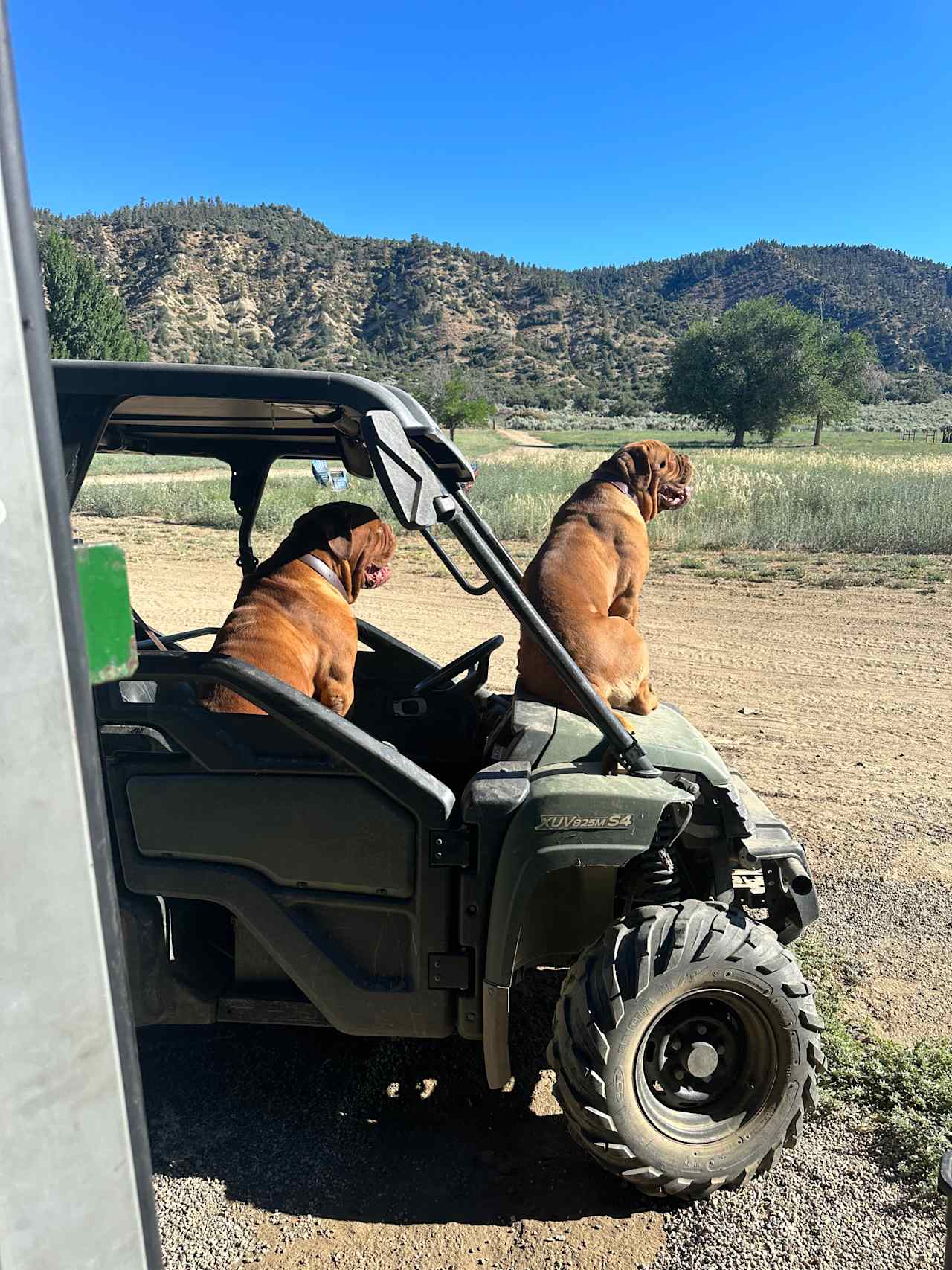 North Fork Ranch (Horses Welcome)