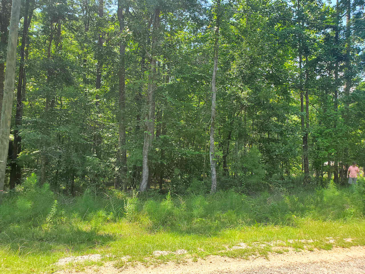 Auburn, Lake Martin, Tent or RV 🦅